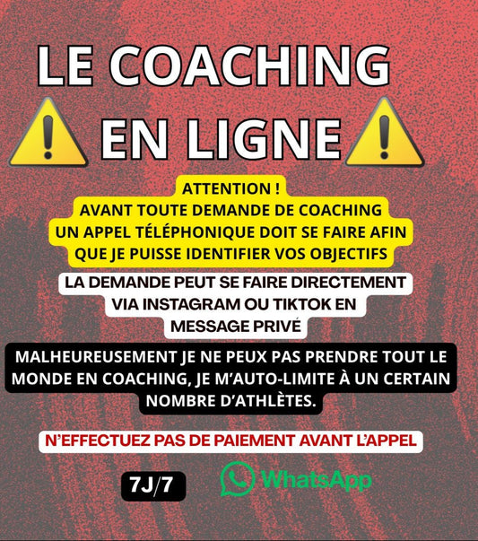 LE COACHING EN LIGNE